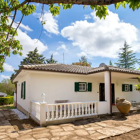 Euphoria Villa